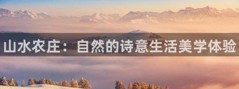 fh至尊注册登陆