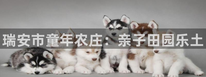 fh至尊