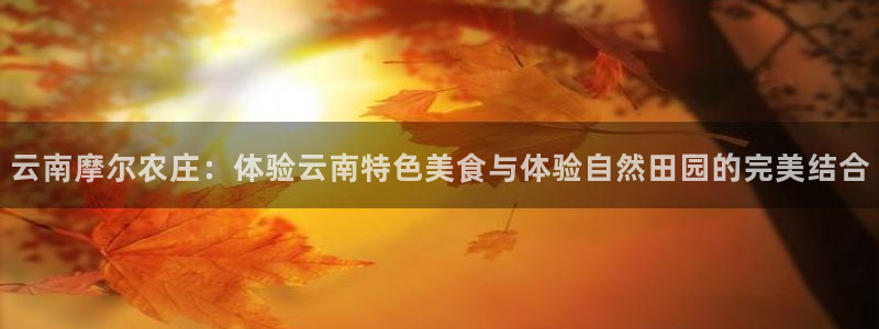 FH至尊是什么
