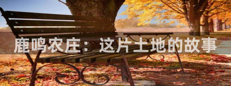 fh至尊官方网站