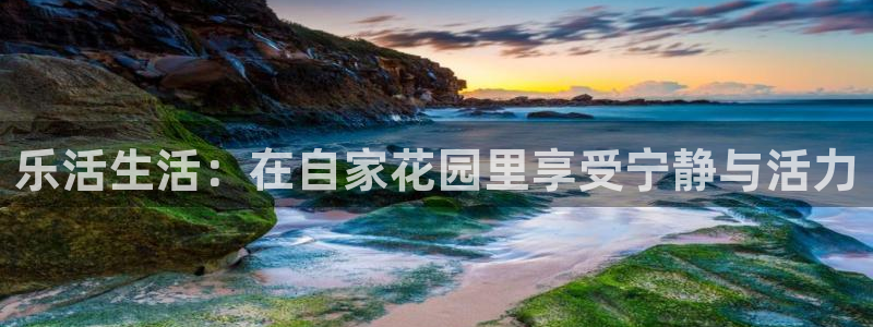 fh至尊是黑台子吗