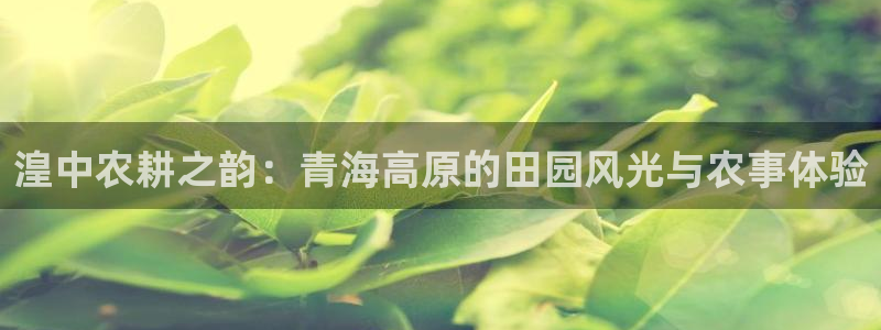 FH至尊属于哪里啊公司