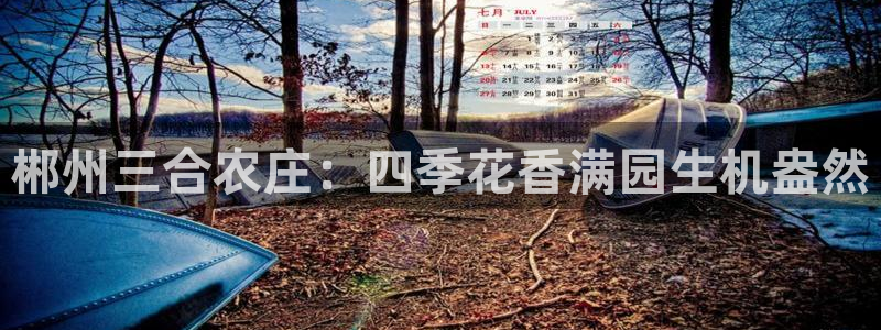 fh至尊香港办事处