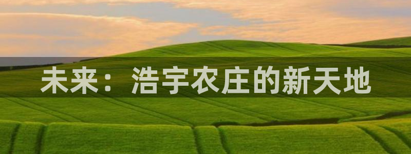 fh至尊平台安全吗