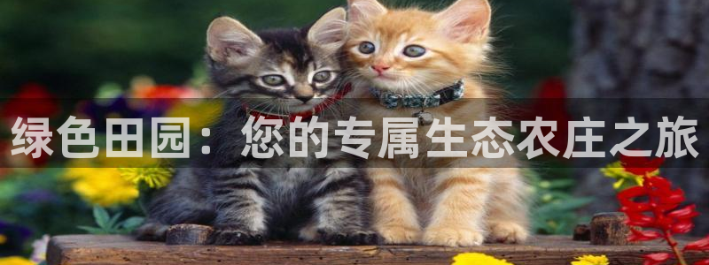 FH至尊娱乐注册