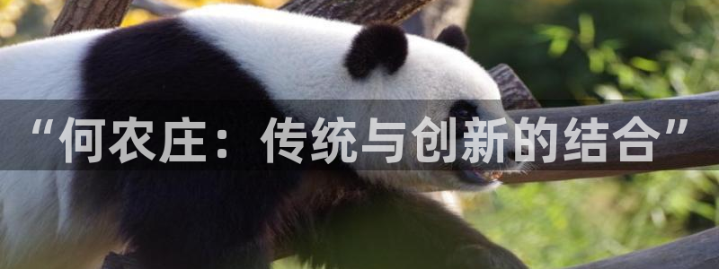 fh至尊是老凤凰平台么