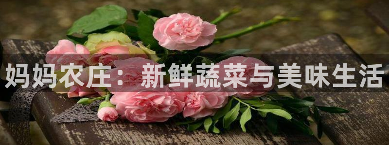 fh至尊游戏模式