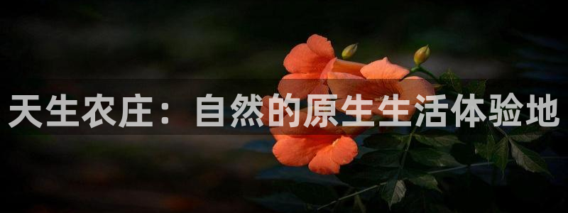 fh至尊官方旗舰店