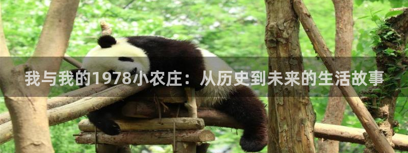 fh至尊品牌介绍