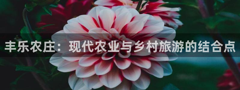 fh至尊app靠谱吗