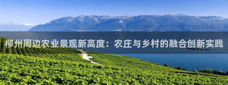 fh至尊怎么没有了