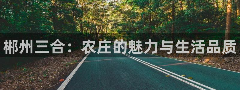 fh至尊是什么牌子