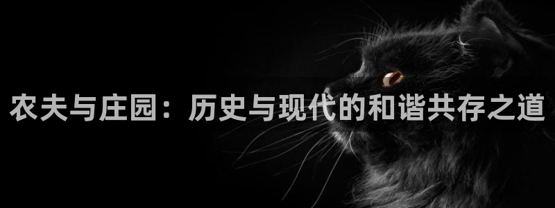 fh至尊是不是假的