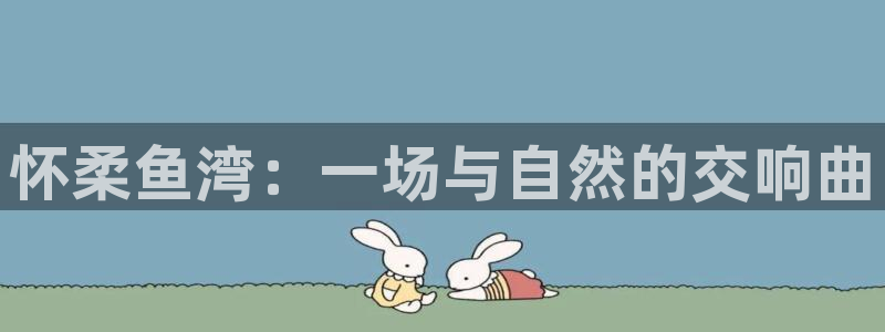 FH至尊是正规平台吗