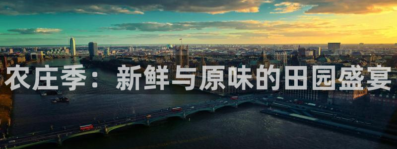 fh至尊平台怎么打不开了呢