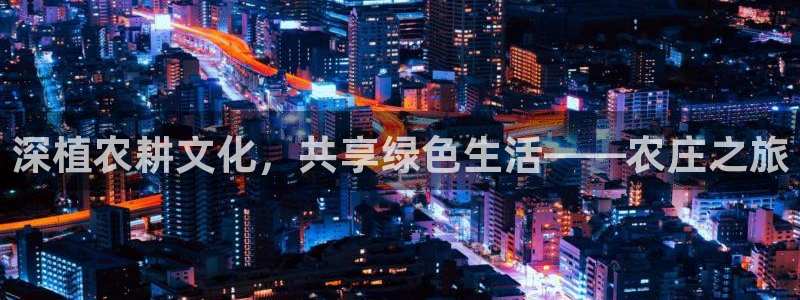 fh至尊平台多少年了