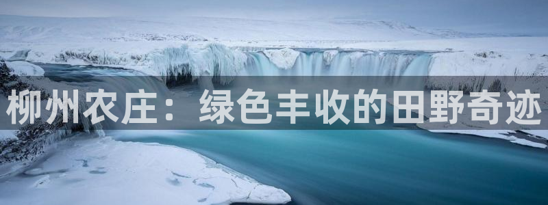 fh至尊最新版本