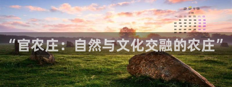 凤凰娱乐FH至尊App