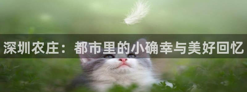 fh至尊怎么改密码