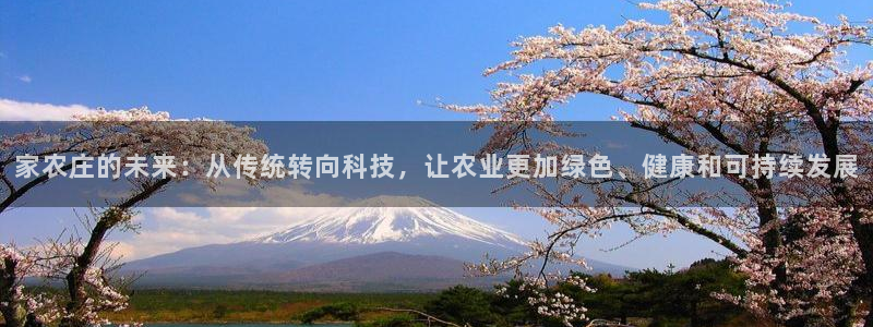 FH至尊官方入口