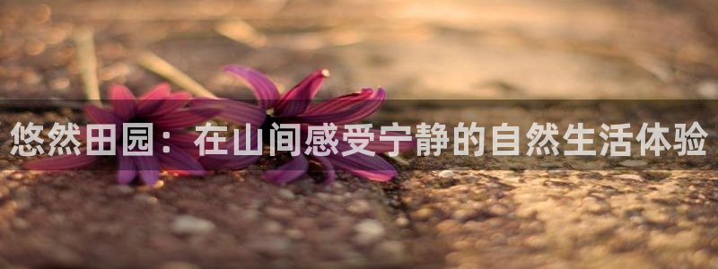 fh至尊怎么安装