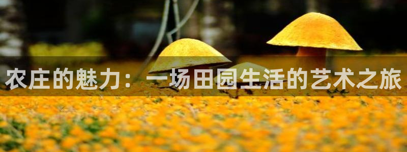 fh至尊平台简介