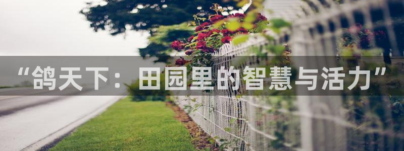 fh至尊游戏模式