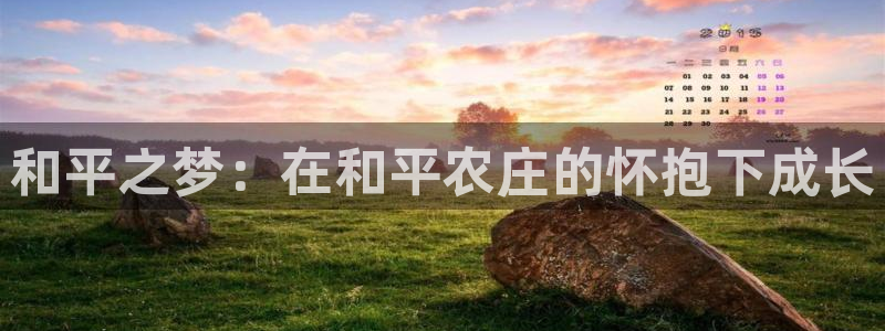 沃尔沃fh500至尊款