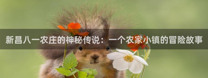 FH至尊是正规平台吗