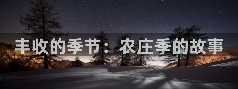 fh至尊手机端进不去