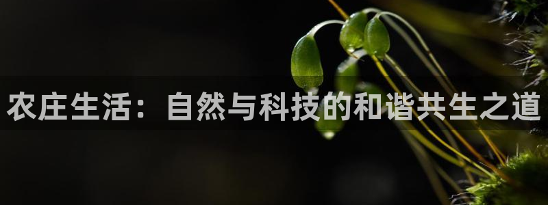 fh至尊凤凰平台下载