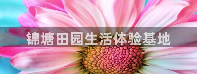 凤凰至尊fh凤凰版0a