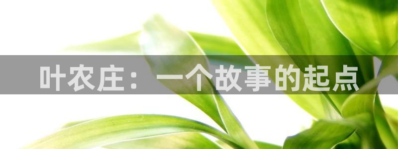 fh至尊平台多少年了