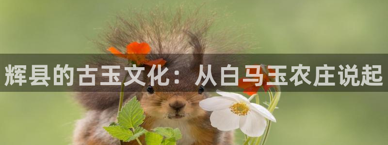 凤凰娱乐FH至尊