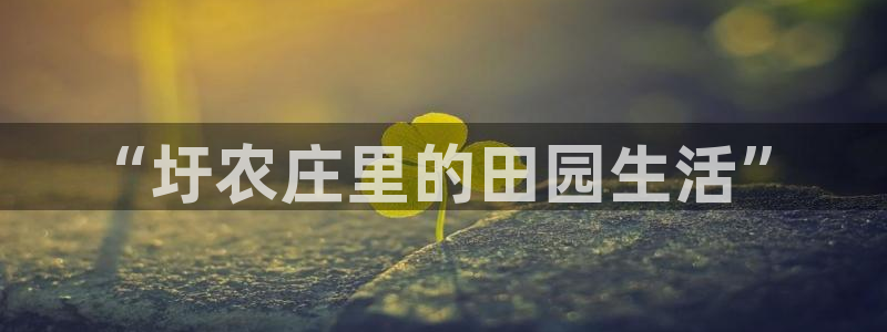 FH至尊平台怎样