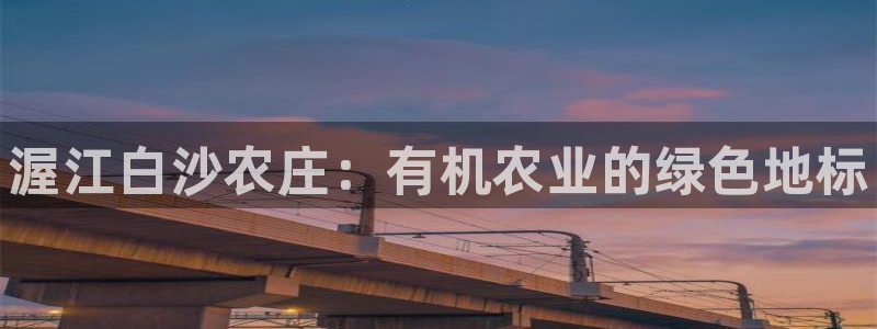 FH至尊登录不了