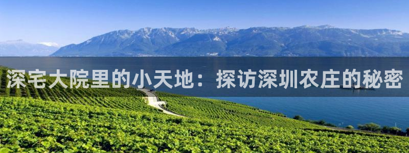 fh至尊版手机app