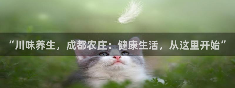 fh至尊平台坑人