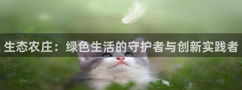 fh至尊在哪个平台