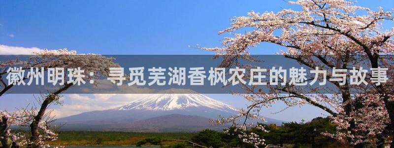 fh至尊怎么改密码