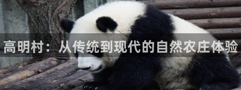 fh至尊怎么改密码