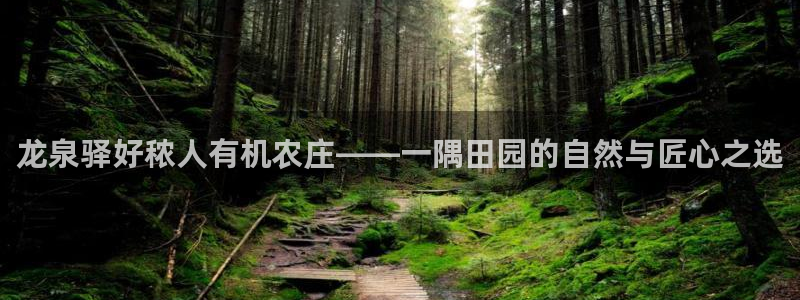 fh至尊凤凰消息的范本