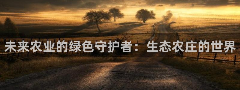 FH至尊出问题了