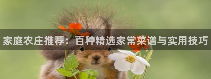 FH至尊apk