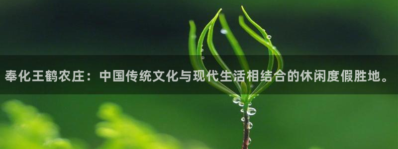 fh至尊凤凰是赌博