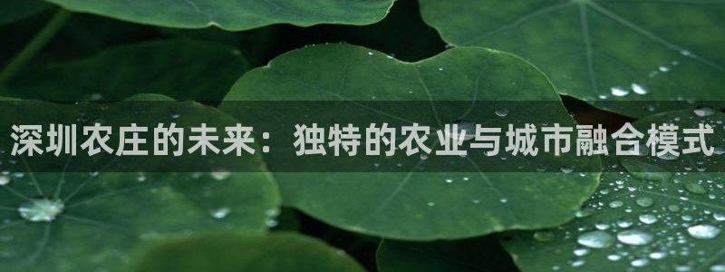 fh至尊假不假