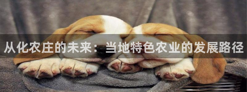 fh至尊凤凰平台下载