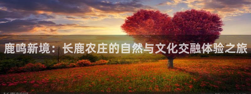 fh至尊代理