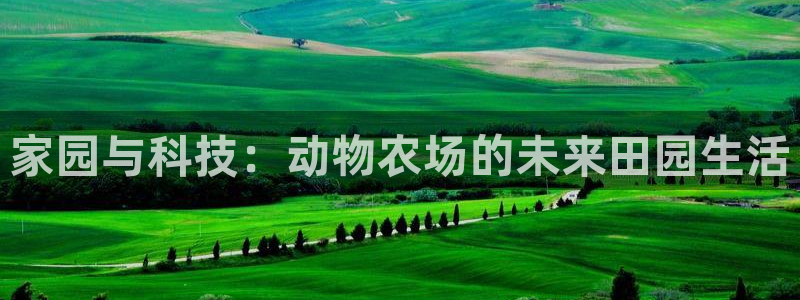 FH至尊黑钱