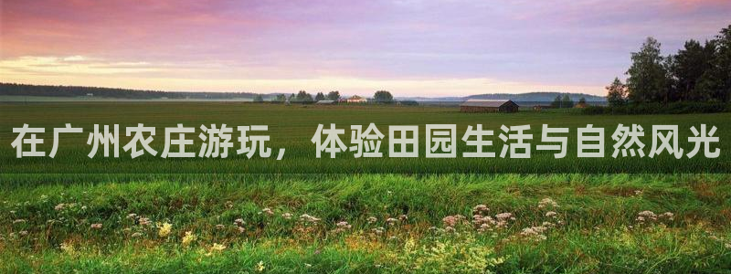 fh至尊是什么平台